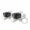 Two outdoor security cameras with built-in lights.